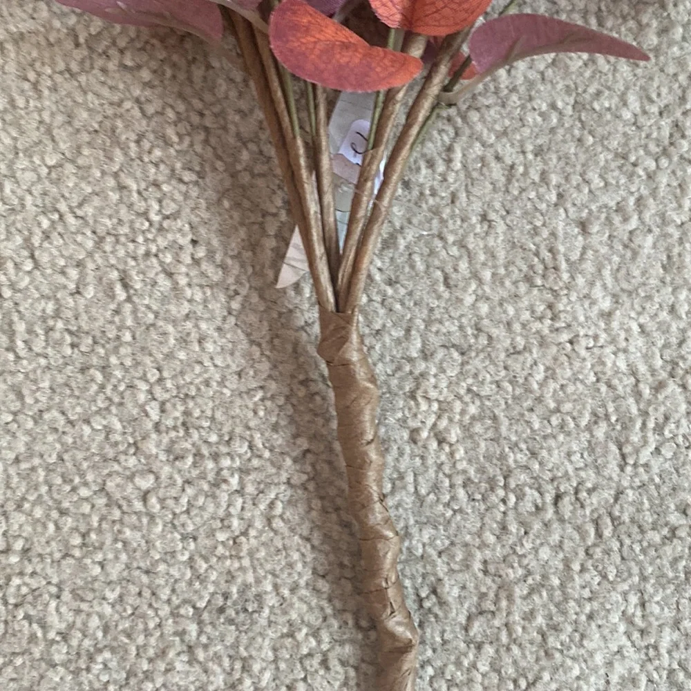 Ragoon House Rust/Burgundy Eucalyptus